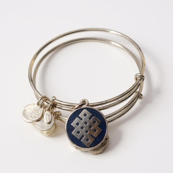 Alex And Ani Endless Knot 2014 Bangle - Picture 1 of 5